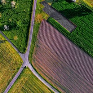 farmland