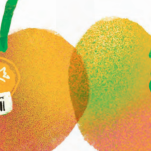 GMO, Apples.