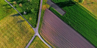 farmland